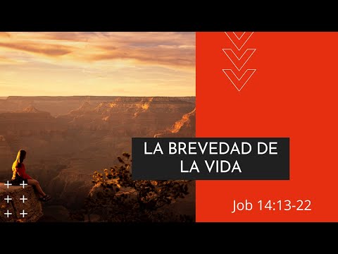 La brevedad de la vida | Job 14:13-22