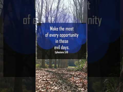 A reading of Ephesians 5:15-17 from the New Living Translation