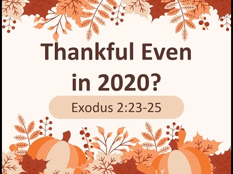 Thankful Even in 2020?  |  Exodus 2:23-25  | November 29, 2020