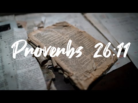 Proverbs 26:11