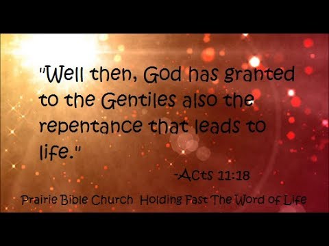 The Gentile Pentecost (Acts 10-11:18) 7/2/17