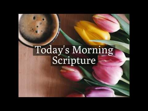 Ecclesiastes 11:1, Morning