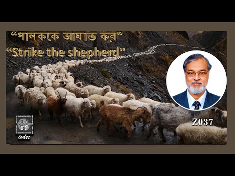 “পালককে আঘাত কর” “Strike the Shepherd” (Z037) সখরিয় ১৩:৭-৯ Zechariah 13:7-9  সরস মণ্ডল ২৩/1/২২