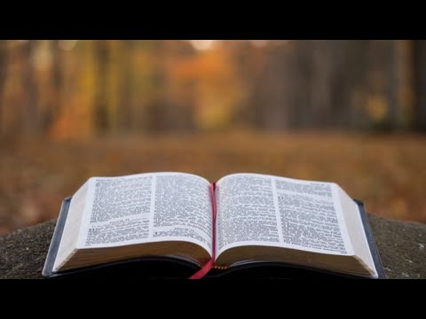 Colossians 1:9-11