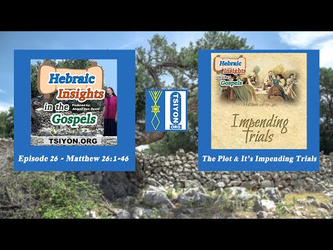 Matthew 26:1-46 - The Plot & It's Impending Trials - HIG Ep26