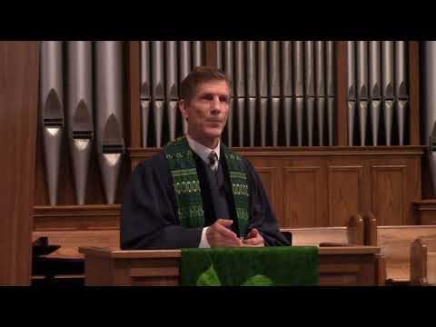 In Need of a Shepherd (Mark 6:30-34, 53-56)