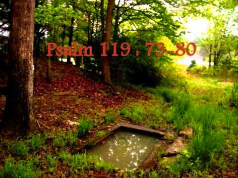 Psalm 119:73-80