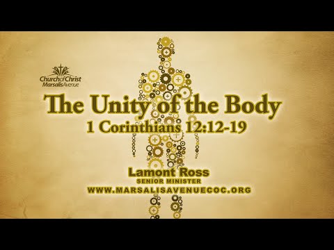 The Unity of the Body - 1 Corinthians 12:12-19
