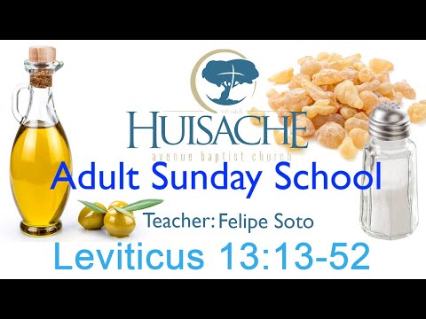 Leviticus lesson 18| Felipe Soto | Leviticus 13:13-52