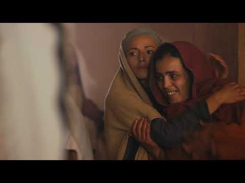 DISCOVER JESUS - Jesus Christ Heals a Crippled Woman (Luke 13:10-17) ESV