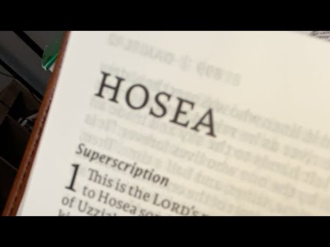 Hosea 10:9-15