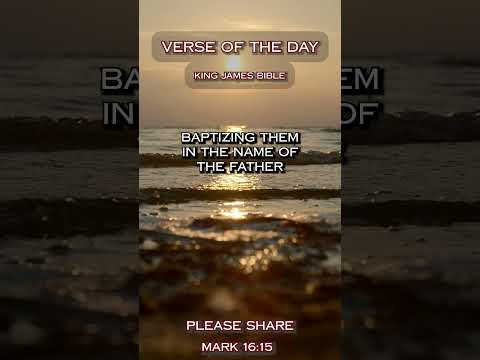 VERSE OF THE DAY - Matthew 28:18-20 #DailyScripture #BibleVerse #ChristianShorts #ScriptureOfTheDay