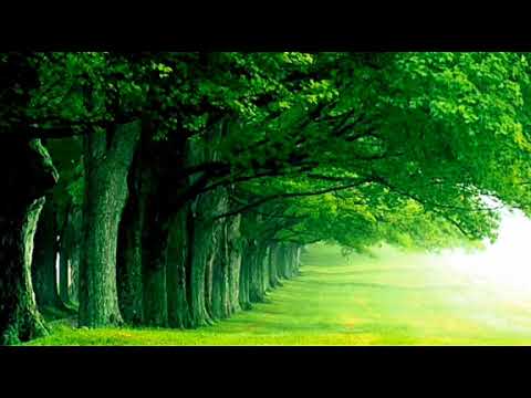 God's Blessings Word # August 28 2021 #ஏசாயா / Isaiah 49:26 # Pastor.Prabhakar.