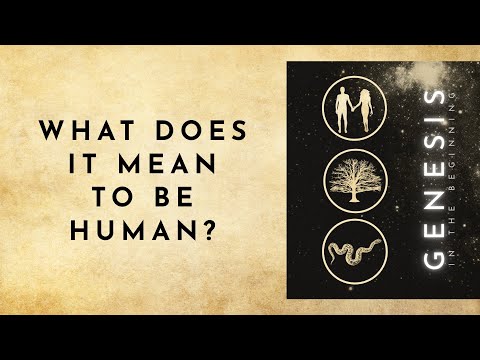 What Does It Mean To Be Human? [Genesis 1:26-31]