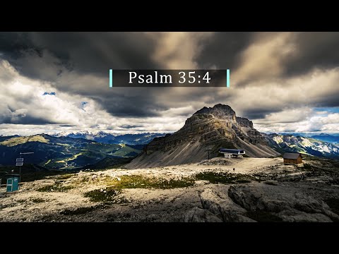 God's Word Daily - 04 Feb 2022 | Psalm 35:4