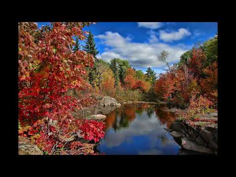 Scripture Verse By Verse (5) Jeremiah 34:12-35:19