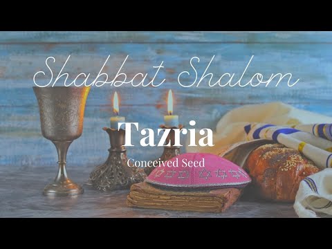 Tazria (Conceived seed) – Leviticus 12:1-13:59 | CFOIC Heartland