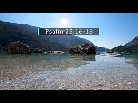 God's Word Daily - 10 Jan 2022 | Psalm 25:16-18