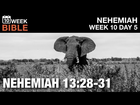 Remember me with Favor, my God  | Nehemiah 13:28-31 | Week 10 Day 5 Study of Nehemiah