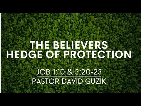 Job 1:10 & 3:20-23 | The Believer’s Hedge of Protection