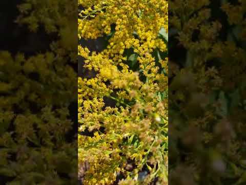 Ecclesiastes 8:5 (Whoever keeps his command will come to no harm)