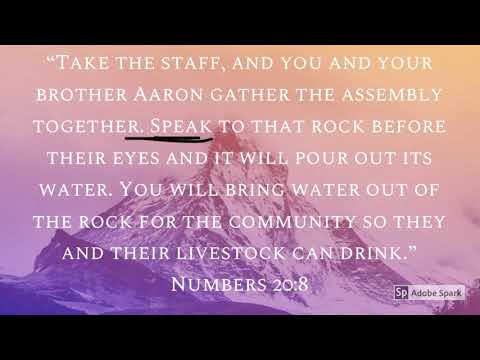 Numbers 20:8