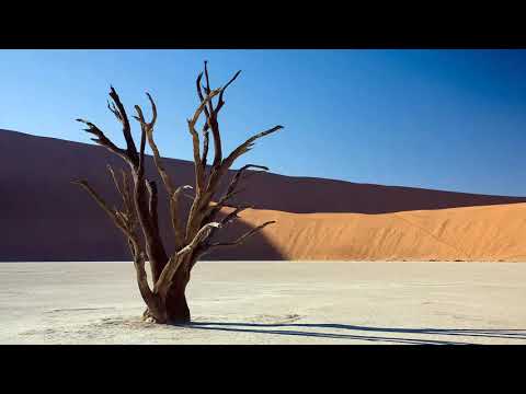 Psalm 107:1-7,33-37 | The Lord Is Good To His People | Lectionary bible reading