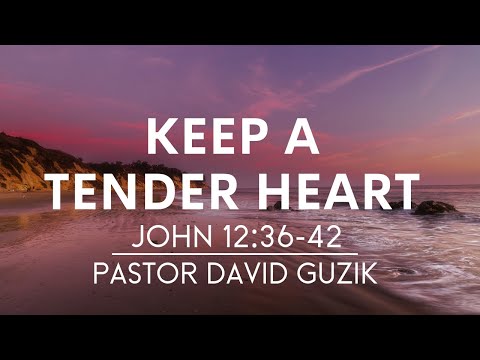 Keep a tender heart | John 12:36-42