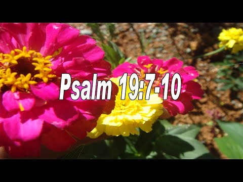 Scripture song Psalm 19:7-10 The law of the Lord is perfect