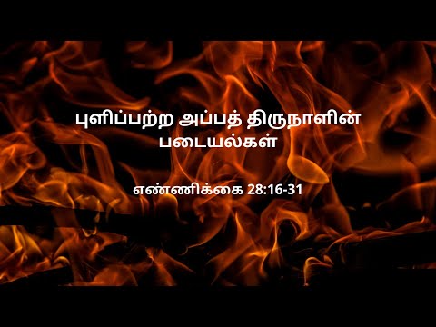 எண்ணிக்கை 28:16-31 | Daily Bible RC | Numbers 28:16-31