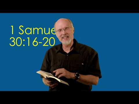 1 Samuel 30:16-20 David Recovers All