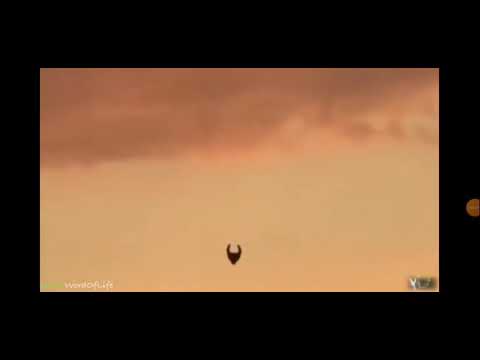 UFO over Ventura California! ( CHARIOTS OF ISRAEL!!! ) ZECHARIAH 5:3
