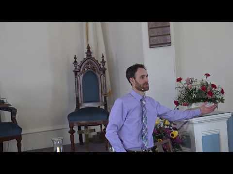 Episode 9:A Shrug or Sword | Genesis 33:18-34:31