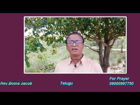 Prayer family daily devotion in Telugu,   Job 12:9