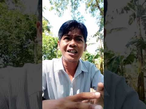 Can a Christian be Still Saved after He/she committed a Suicide?  Exo. 20:13