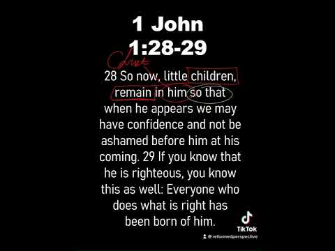 1 Minute Bible Study // 1 John 1:28-29