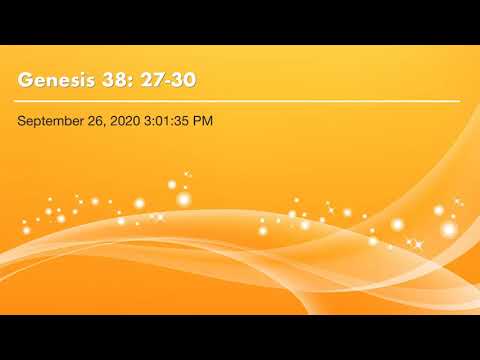 Genesis 38: 27-30