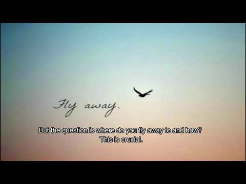 Fly Away  (Psalm 55:2-8, 22-23)  Mission Blessings