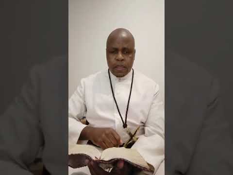 Reflection by Fr. Ndodana Tshuma, OMI: Matthew 13: 18-23 (24-07-2020)