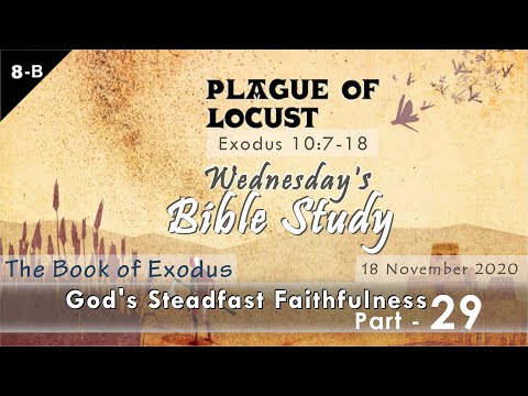 The Book of Exodus 10:7-18 _ Wednesday Bible Study _ Part 29