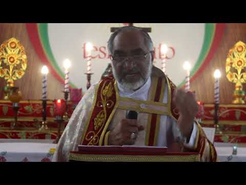 Daily reflection St John 6:48-59(26/05/2020)