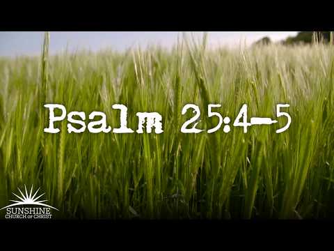 Deeply Rooted - Psalm 25:4-5