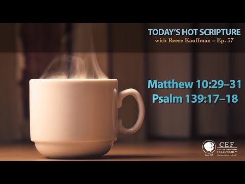 Matthew 10:29-31; Psalm 139:17-18 - Today's Hot Scripture with Reese Kauffman Episode 37