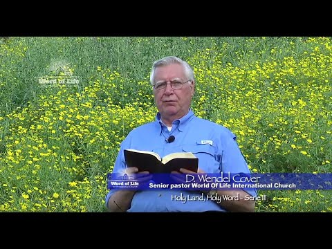 Matthew 14:23-36 Walking on the Water - D. Wendel Cover and Ari Bar David