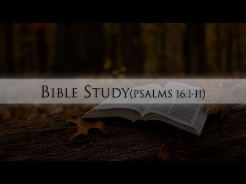 Bible Study(Psalms 16: 1-11)