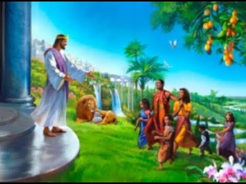 Scripture from the Lord- David's Last Prayer -Psalms 72:8-12