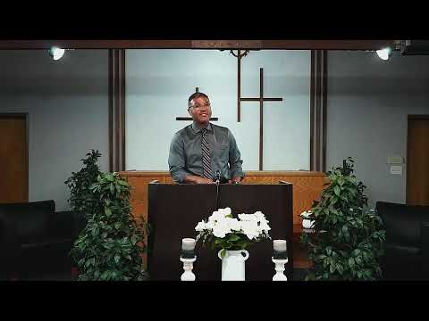 Wednesday Evening Service "Examples of Wisdom: The Locust" - Proverbs 30:27