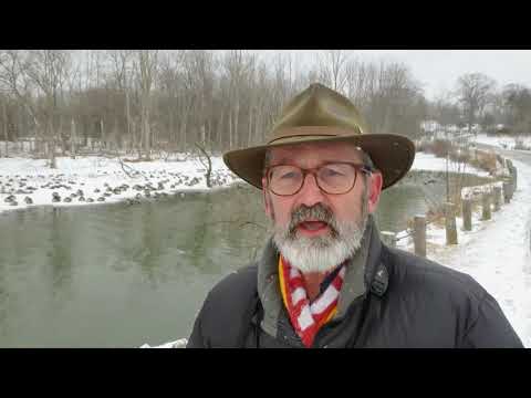 Bible Byte Matthew 8:1-4, 16-17