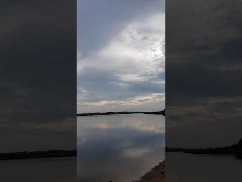 Ecclesiastes 11:1(Cast your bread upon the waters, for after many days you will find it again)