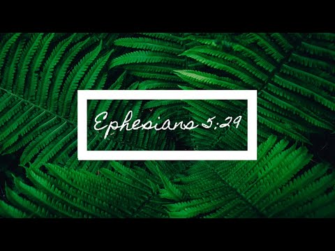 Ephesians 5:29